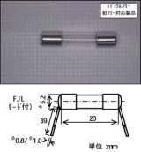 画像: FJL 250V 5A(EM)8H02　（一袋10個入り）