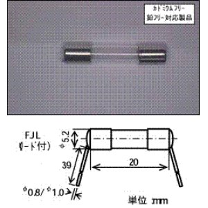 画像: FJL 250V 5A(EM)8H02　（一袋10個入り）